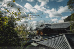 3-Kobe0206-P1530837