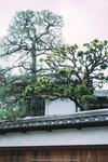 P1200115