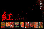 ---MIX