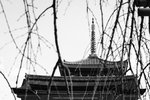 IMG_9444