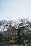 P1250335