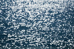 IMG_2620