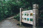 Okinawa-0129-P1000273