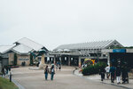 Okinawa-0313-P1010223
