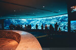 Okinawa-0325-P1010288
