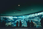 Okinawa-0326-P1010298