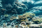 Okinawa-0334-DSC07109