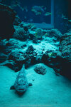 Okinawa-0349-P1010362