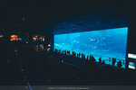 Okinawa-0389-P1010773