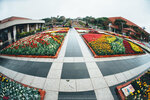 Okinawa-0428-DSC07470