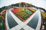Okinawa-0429-DSC07510