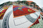 Okinawa-0431-DSC07596