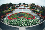 Okinawa-0436-DSC07614