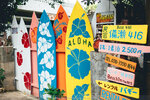 Okinawa-0440-P1020566