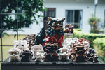 Okinawa-0445-P1020591