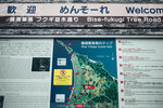 Okinawa-0450-P1020607