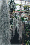Okinawa-0461-P1020637
