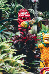 Okinawa-0470-P1020685