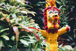 Okinawa-0471-P1020687