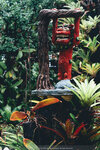 Okinawa-0474-P1020691