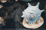 Okinawa-0478-P1020700