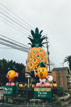 Okinawa-0494-IMG_6895