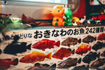 Okinawa-0515-P1020803