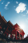 Okinawa-0600-DSC07873