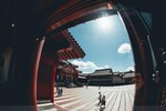 Okinawa-0607-DSC07947