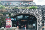 Okinawa-0613-P1030522