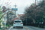 Okinawa-0623-DSC07974