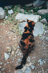 Okinawa-0636-P1030555