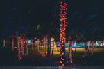 Okinawa-0702-P1040041