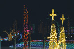 Okinawa-0718-DSC08221