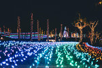 Okinawa-0747-P1040329