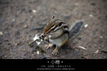 LIMG_6978