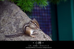 LIMG_9209