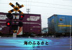L1050126z