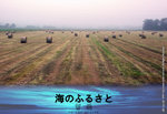 L1050128z