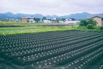 P1190888