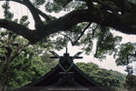 2-Shikoku0036-P1510463