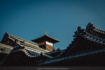 2-Shikoku0219-P1510943
