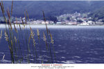 aIMG_6777