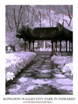 DSC02944b