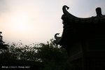 IMG_5816