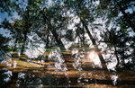 R1-06623-0022