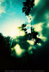 R1-06655-0020