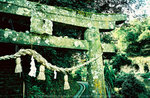 R1-06657-0014