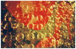 R1-06622-0027