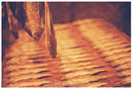 R1-00807-003A